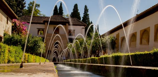 כל הסיבות לשלב בריכות נוי בגינה