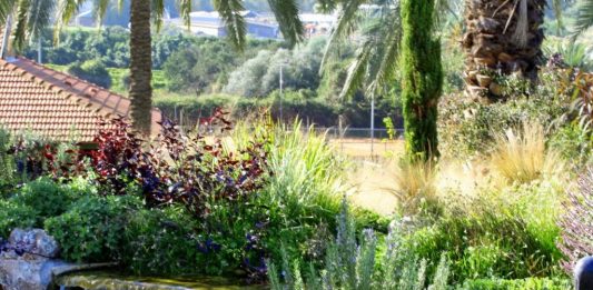 תכנון גינות – איך עושים את זה נכון