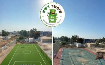 מחצר עפר לגינה ירוקה: כך דשא סינטטי משנה לחלוטין את הבית