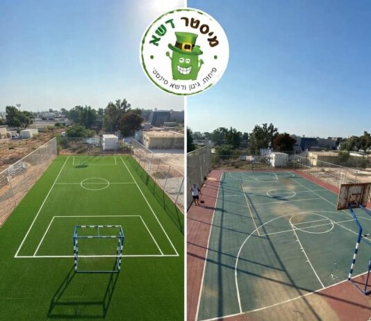 מחצר עפר לגינה ירוקה: כך דשא סינטטי משנה לחלוטין את הבית